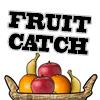 Fruit Catch