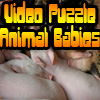 Video Puzzle: Animal Babies online game