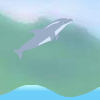 Dolphin Olympics 2