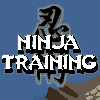 Ninja Training online game