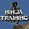 Ninja Training