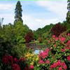 Beauty Gardens Puzzles 5 online game