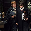Harry Potter: Dobbey Hunt