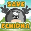 Save Echidna online game