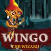 Wingo online game